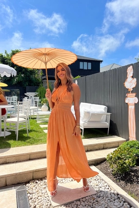 Artemis Dress Apricot Perfectly Styled