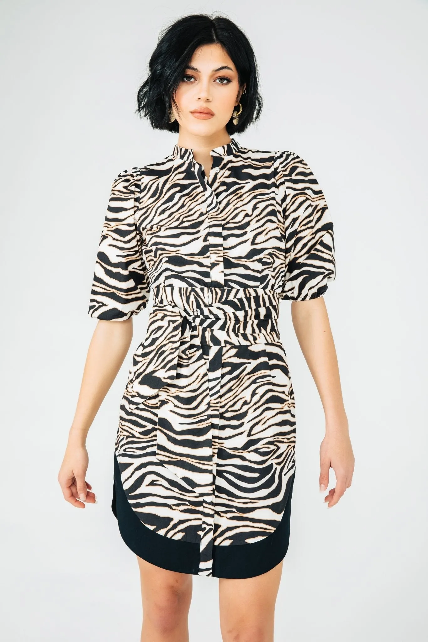 Black Zebra Rosa Dress