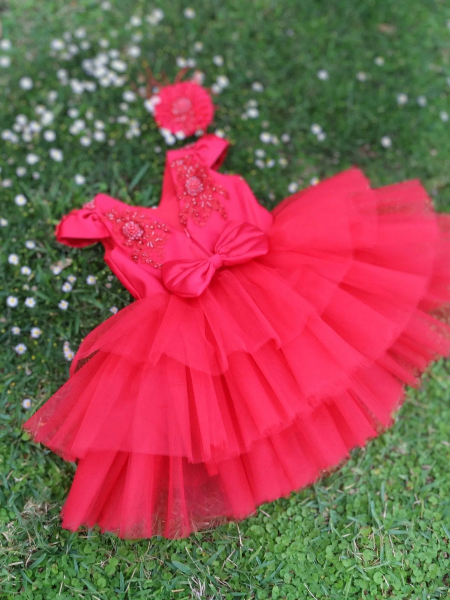 Enchanted Rose