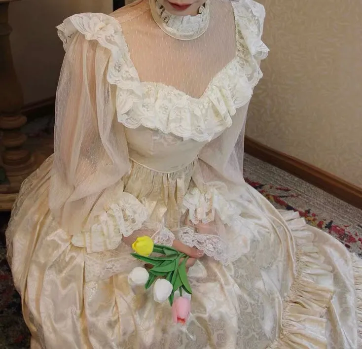 Golden Dreams Romantic Royalcore Victorian Fairy Princess Dress