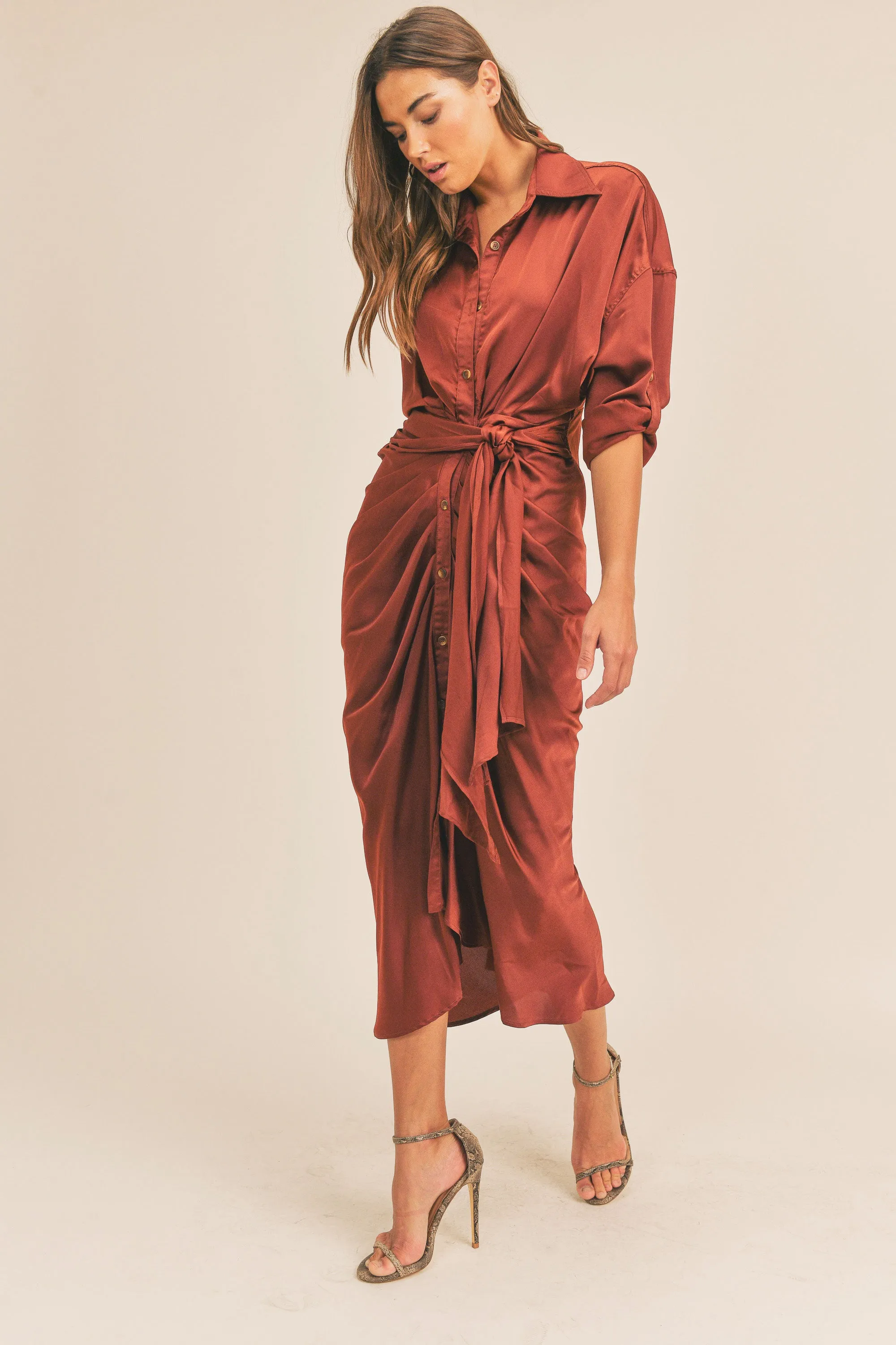 GWEN BUTTON DOWN SHIRT DRESS