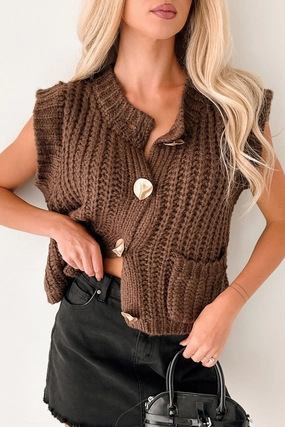 Long Sleeve Polo SheerLayering Amber Hours Sleeveless Sweater Top (Brown)