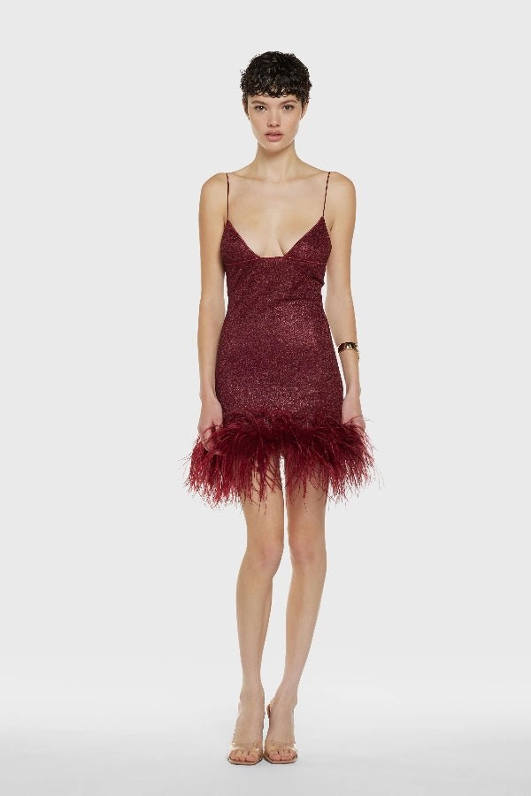 Trend Appeal Fit Choice Lumiere Plumage Short Dress Burgundy