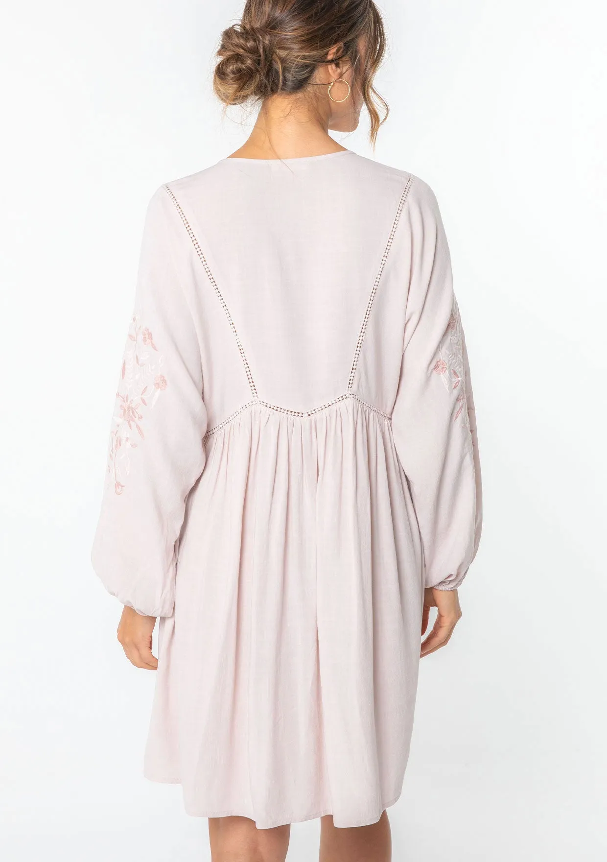 Malin Embroidered Mini Dress