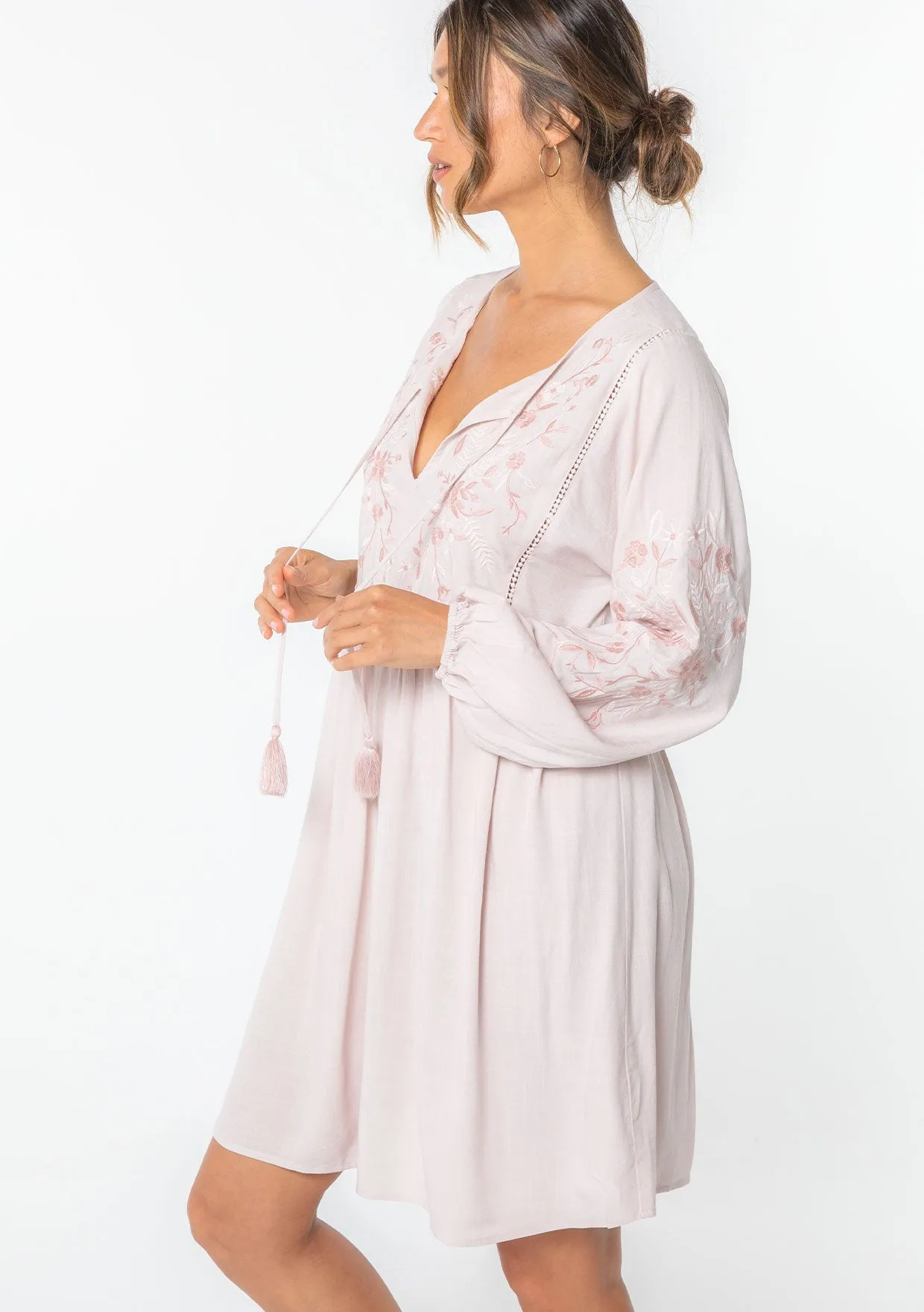 Malin Embroidered Mini Dress