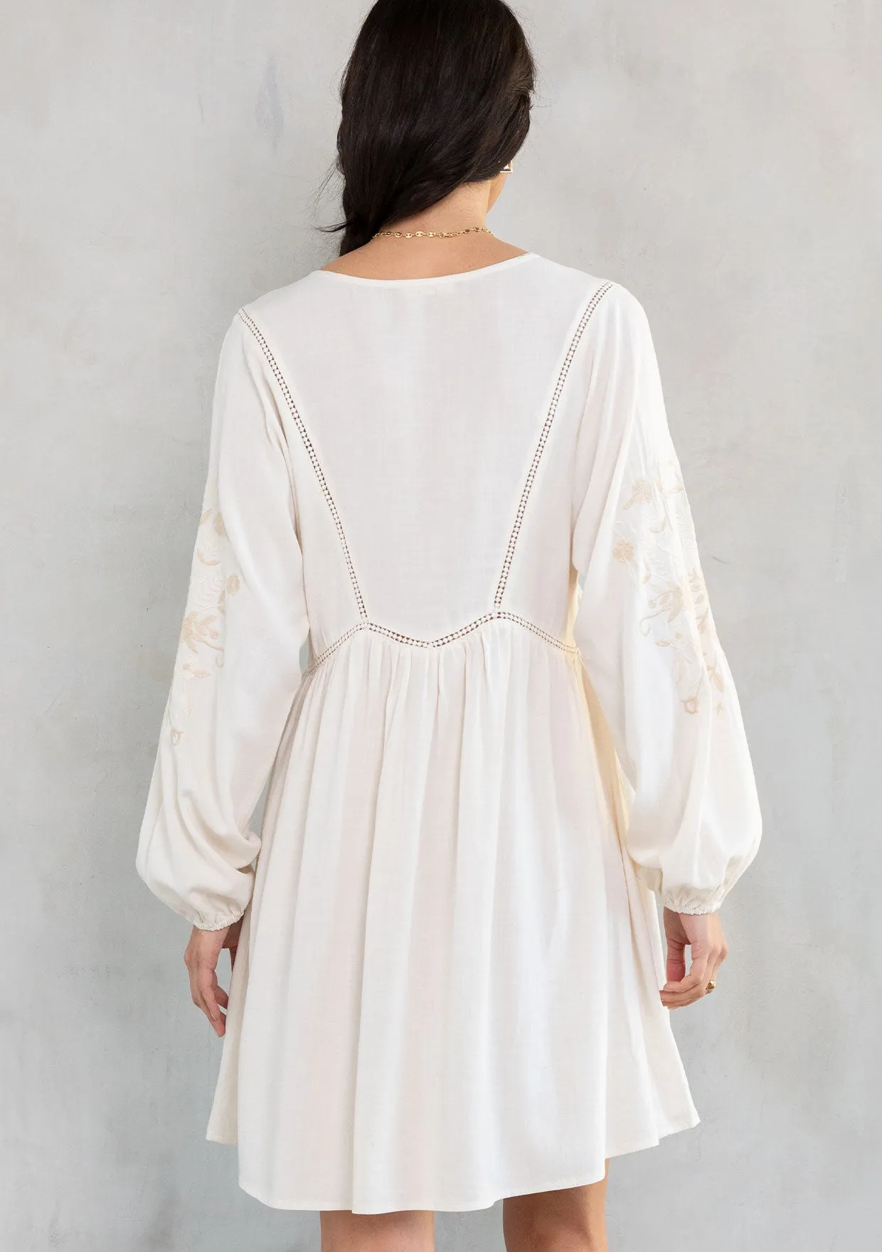 Malin Embroidered Mini Dress
