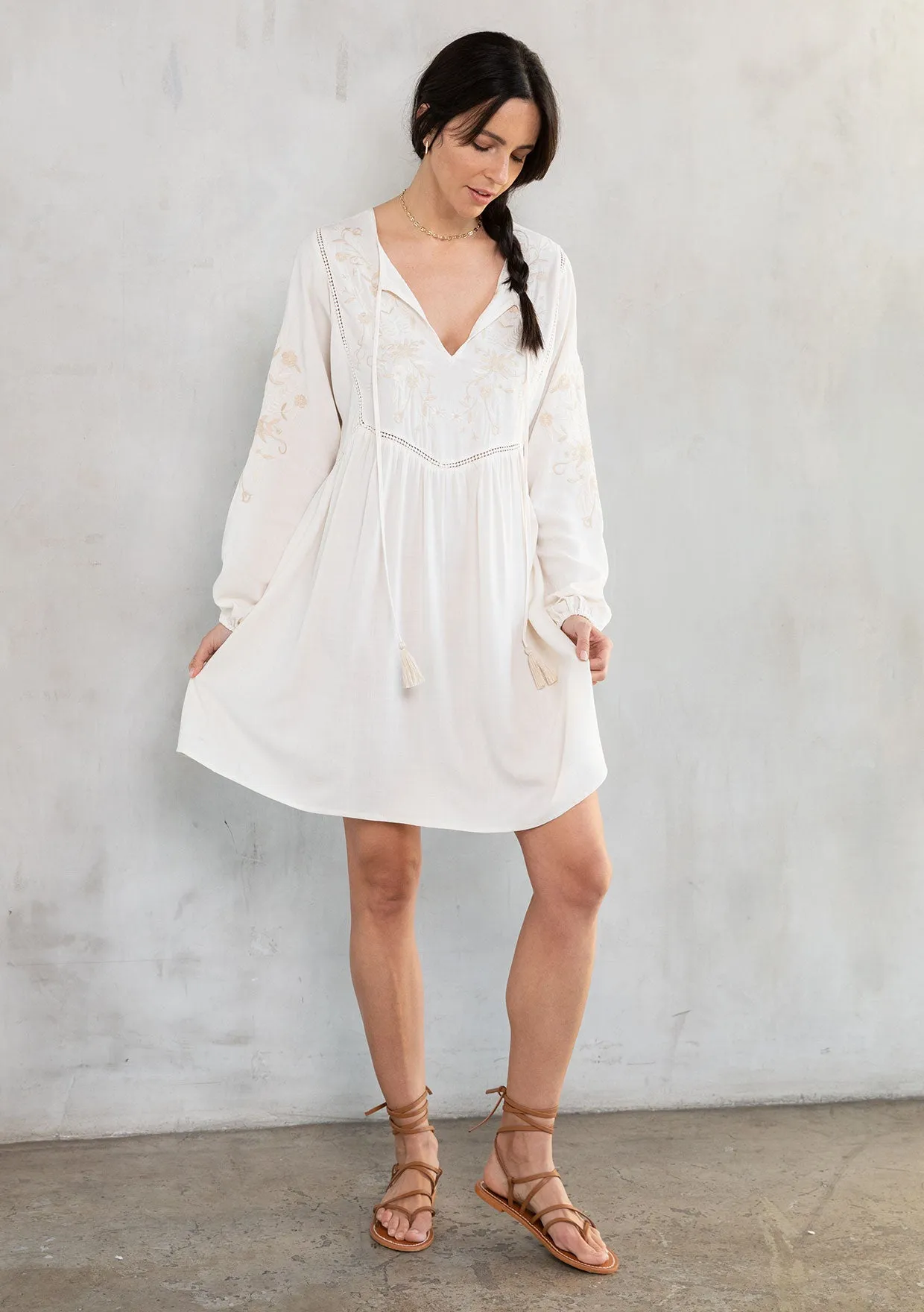 Malin Embroidered Mini Dress