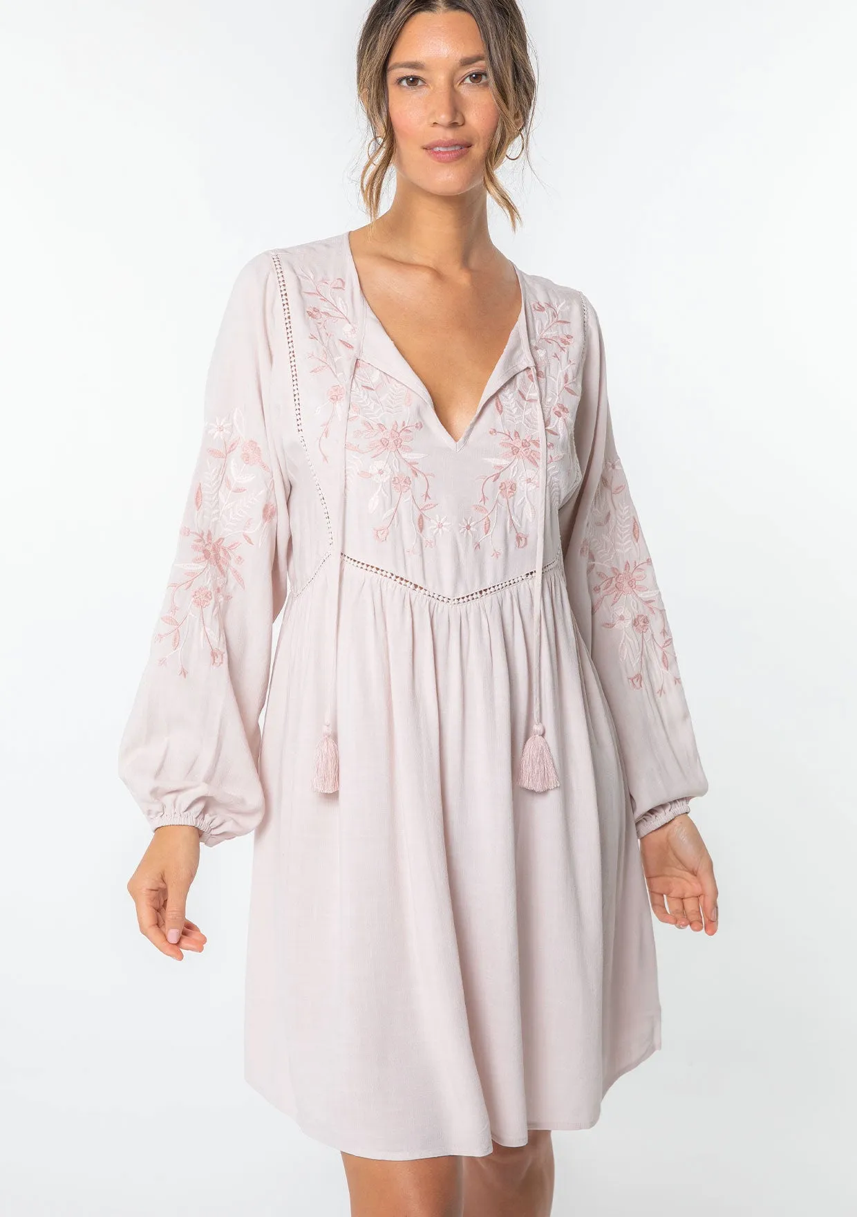 Malin Embroidered Mini Dress