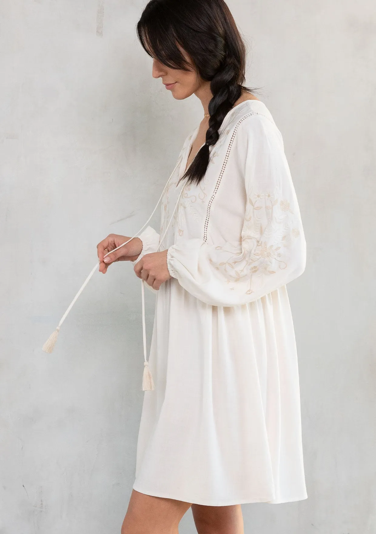 Malin Embroidered Mini Dress