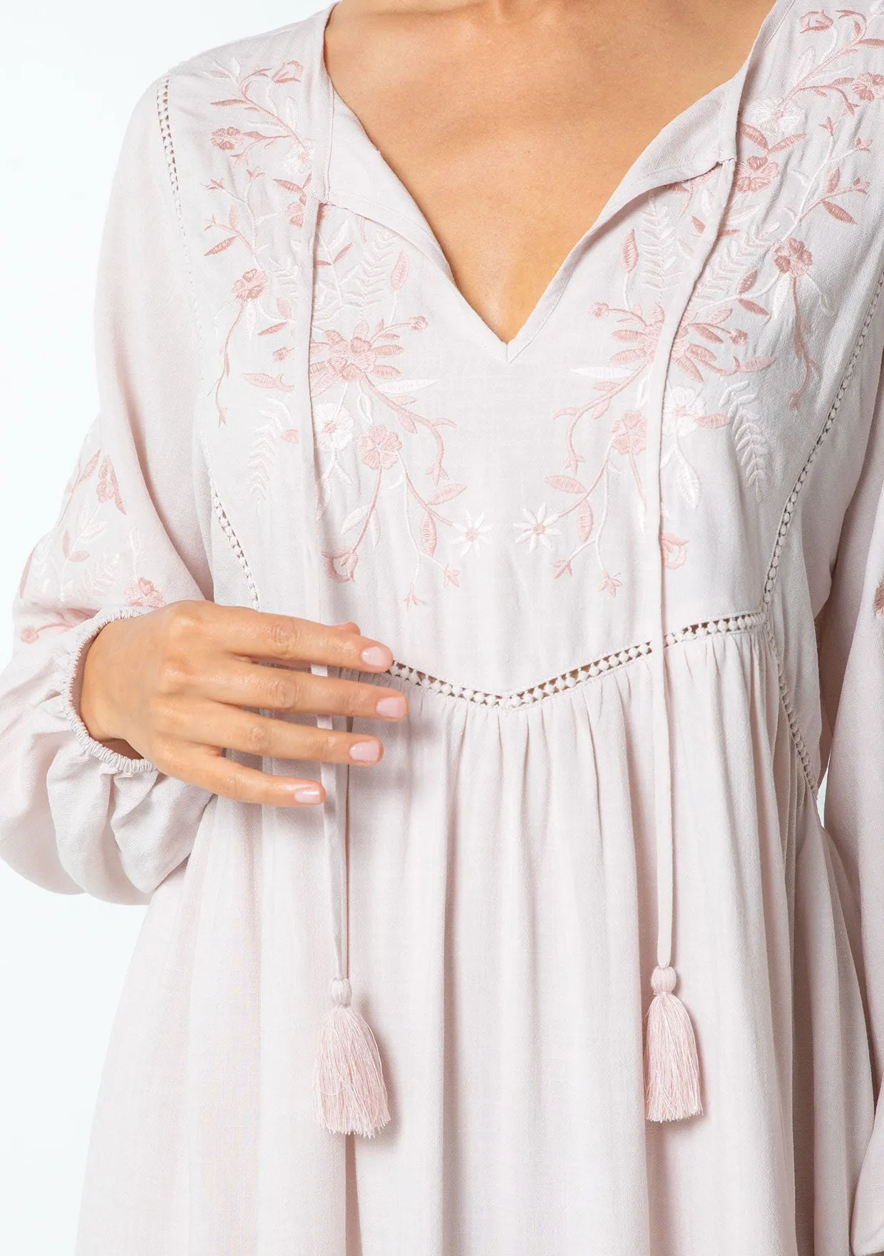 Malin Embroidered Mini Dress