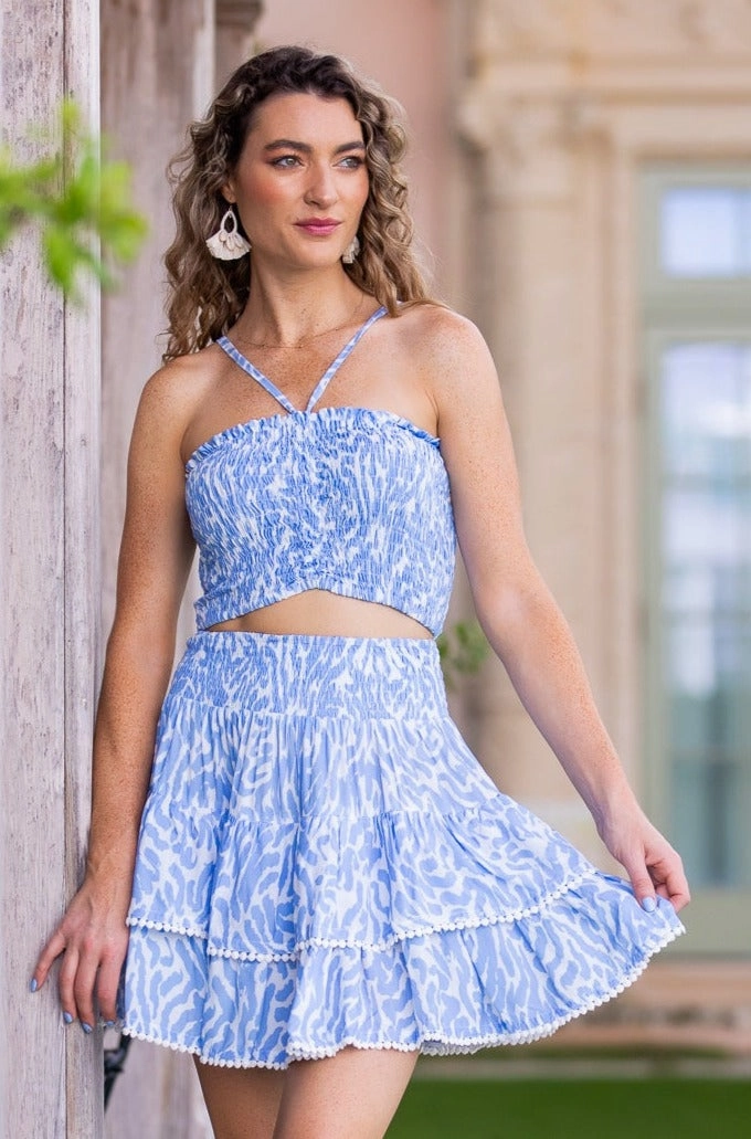 Fresh Detail Outfit Focused McKenna Set Skirt / Periwinkle Zebra