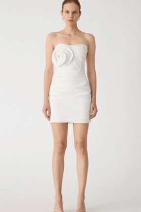 Flexible Fabric Mercedes Dress Ivory