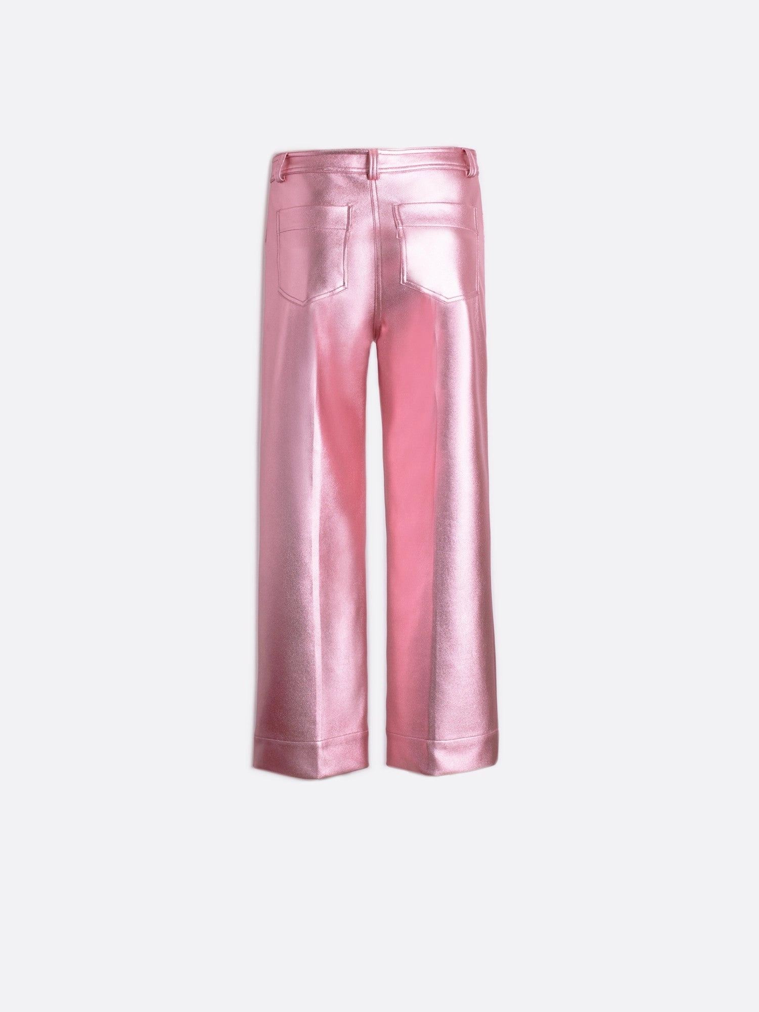 Snag Resistant Fabric METALLIC PANTS
