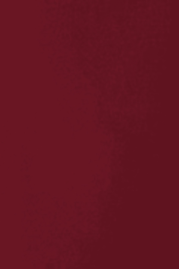 Nanda Dress Burgundy Moment Glow