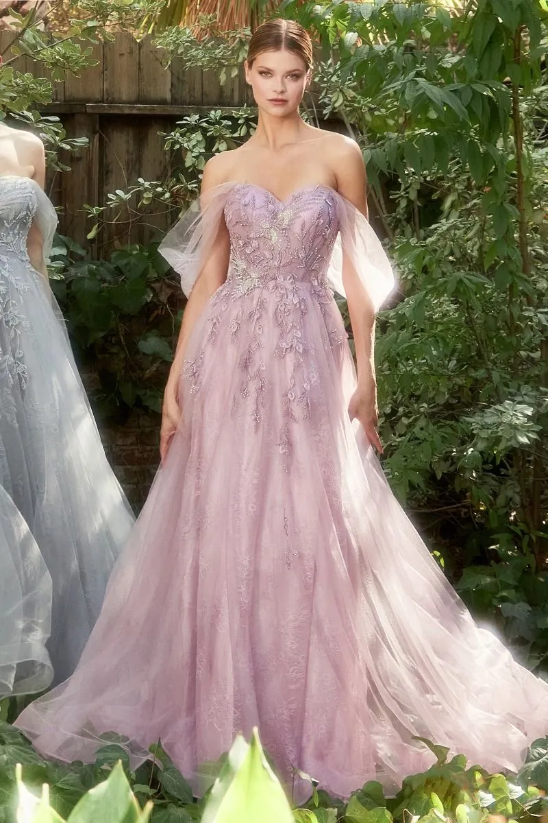 OFF THE SHOULDER BIRDS OF ROMANCE A-LINE TULLE GOWN CDA1149