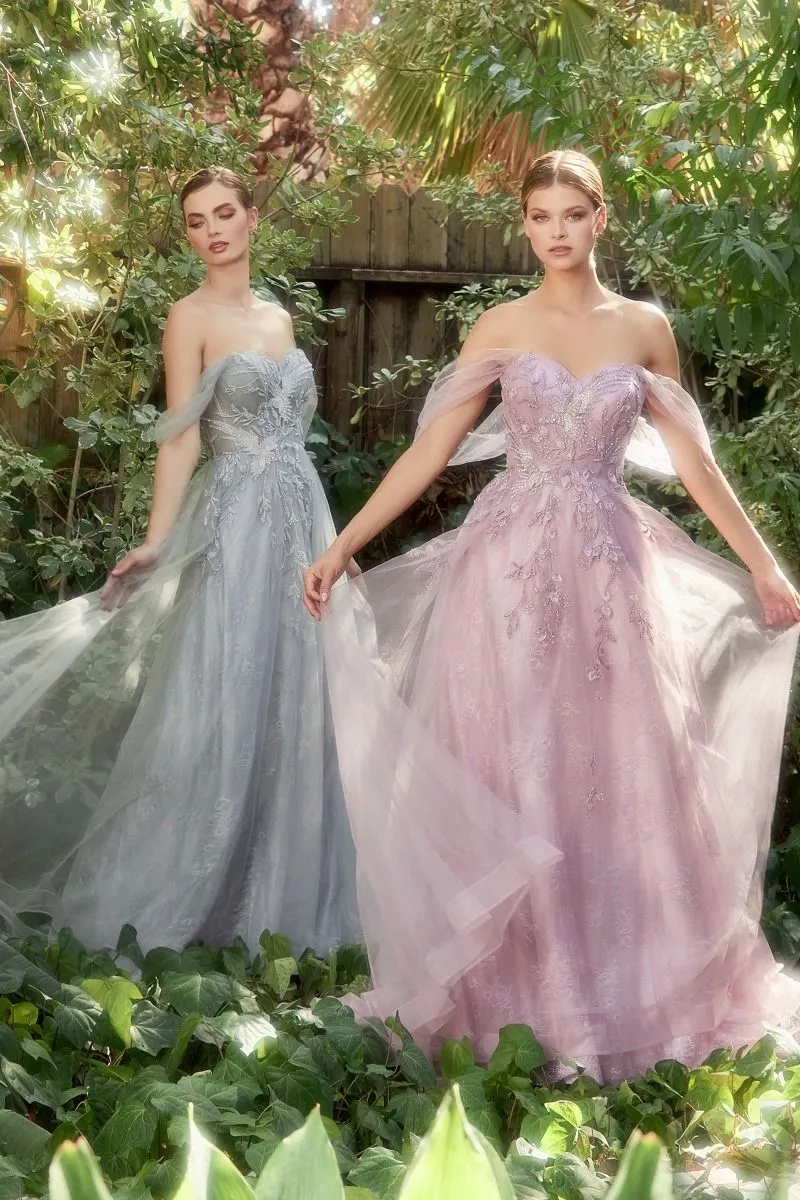 OFF THE SHOULDER BIRDS OF ROMANCE A-LINE TULLE GOWN CDA1149