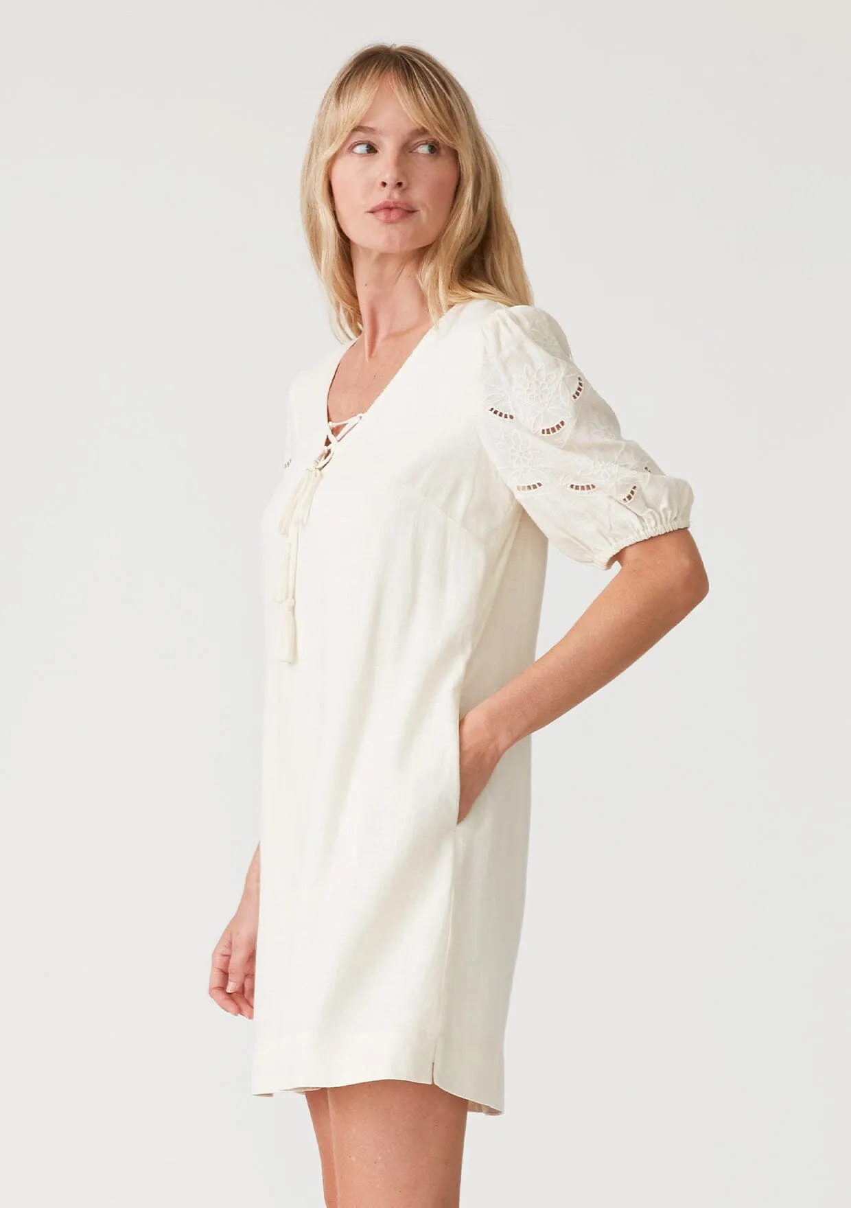 Pixie Embroidered Mini Dress