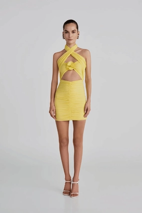 Trend-Inspired Quimera Mimosa