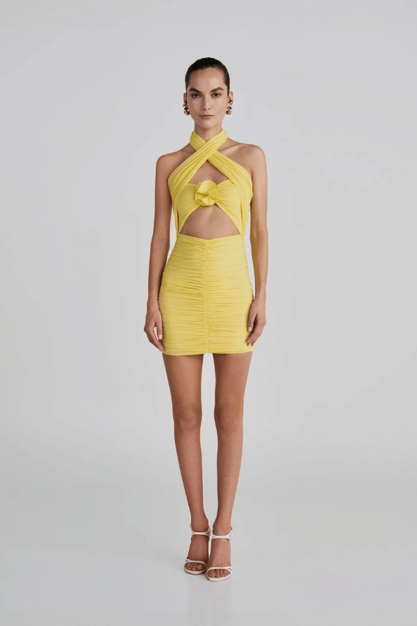 Trend-Inspired Quimera Mimosa