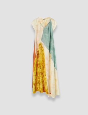 Polished Edge Tulipa Planchart Print Silk Dress