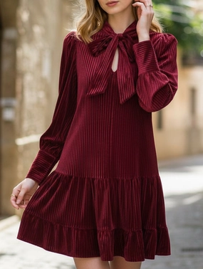Smart Wear Retro hot sale velvet short dress