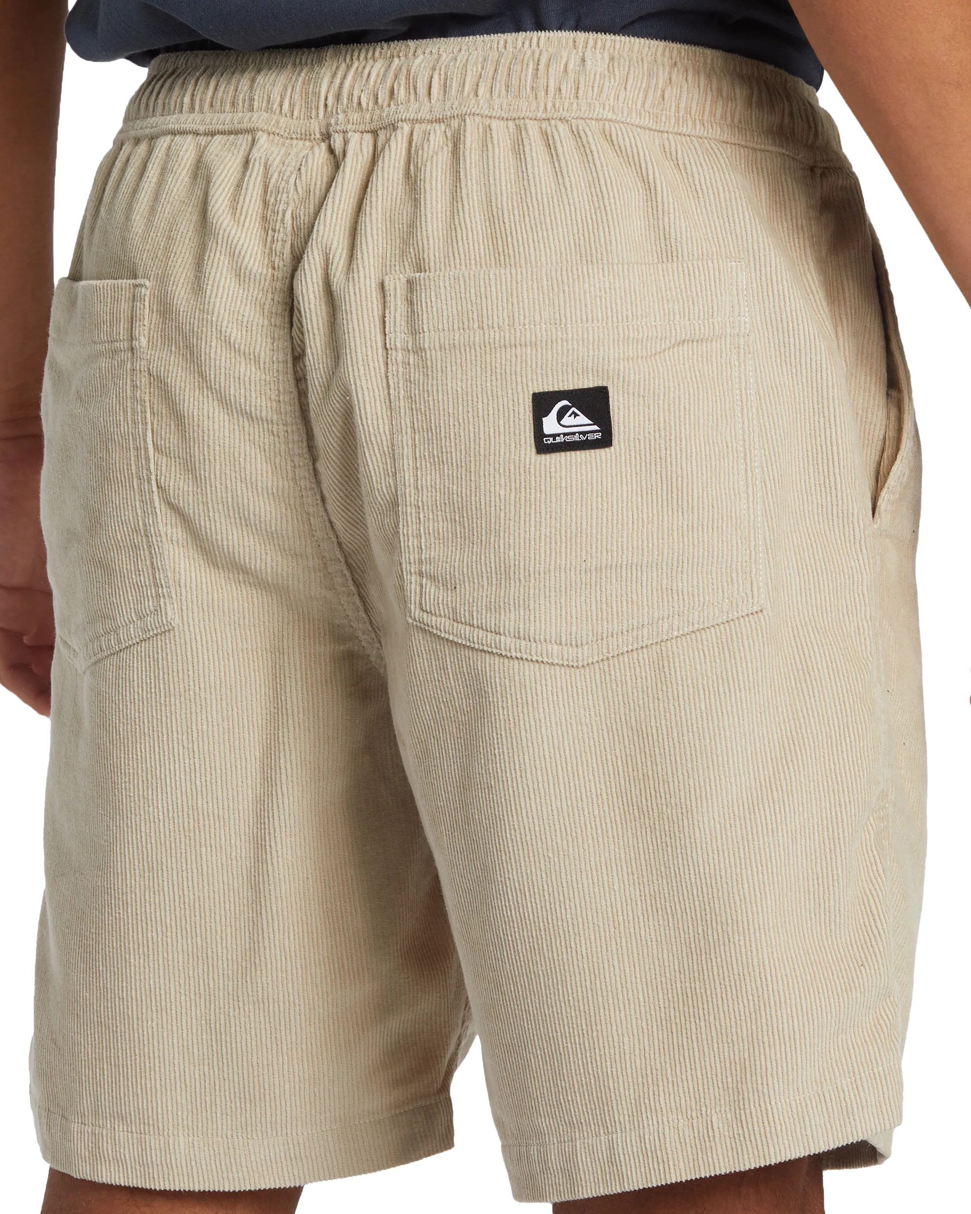 Taxer Cord Walkshorts in Plaza Taupe